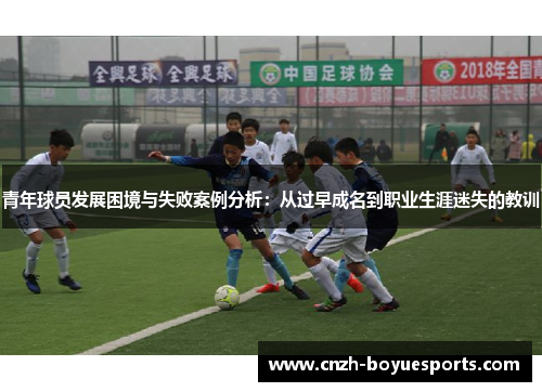 青年球员发展困境与失败案例分析：从过早成名到职业生涯迷失的教训