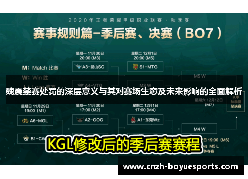 魏震禁赛处罚的深层意义与其对赛场生态及未来影响的全面解析